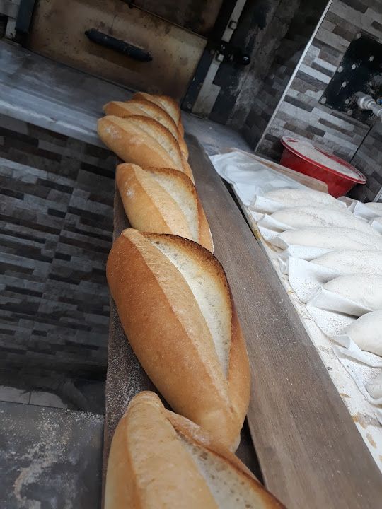 Fotoğraf 17
