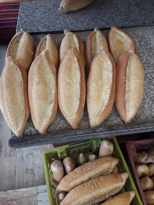 Fotoğraf 10