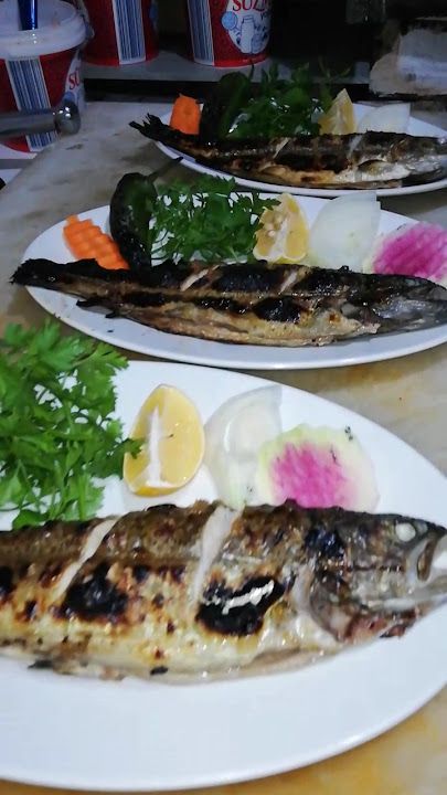 Fotoğraf 27