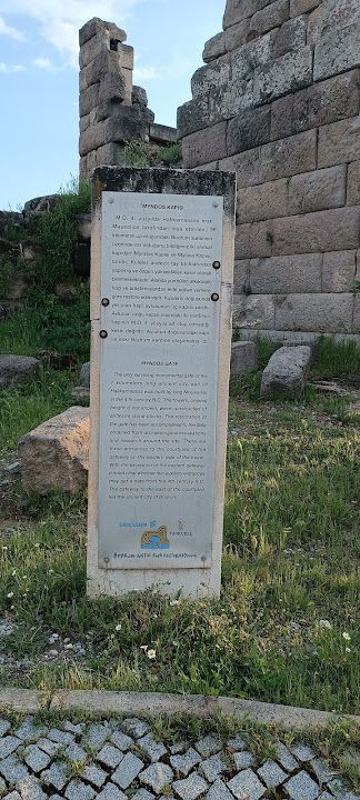 Fotoğraf 16