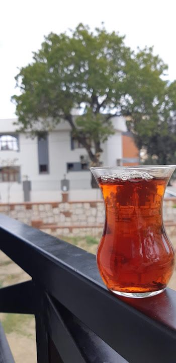 Fotoğraf 23