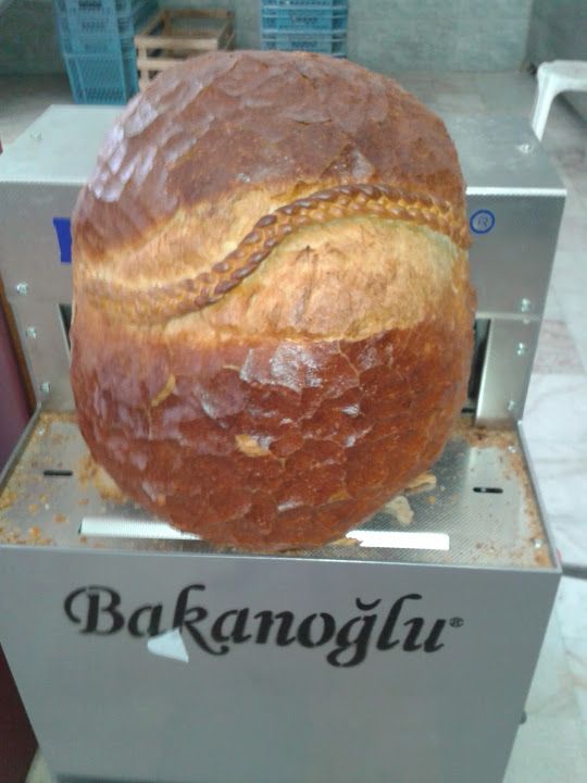 Fotoğraf 17