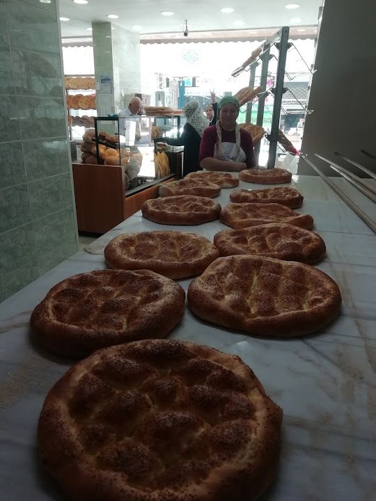 Fotoğraf 14