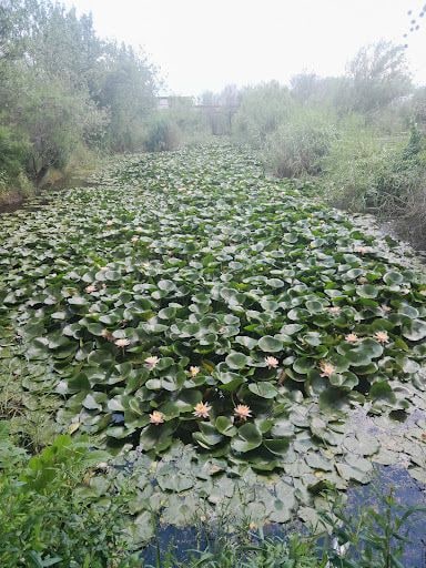 Fotoğraf 34