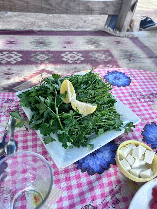 Fotoğraf 15
