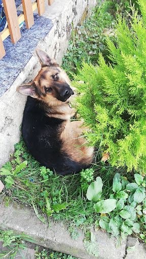 Fotoğraf 11