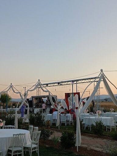 Fotoğraf 14