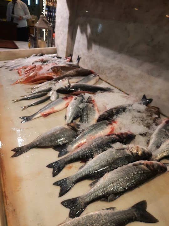 Fotoğraf 22