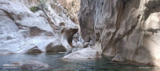 Yorum fotoğrafı 6