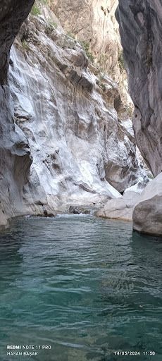 Yorum fotoğrafı 8