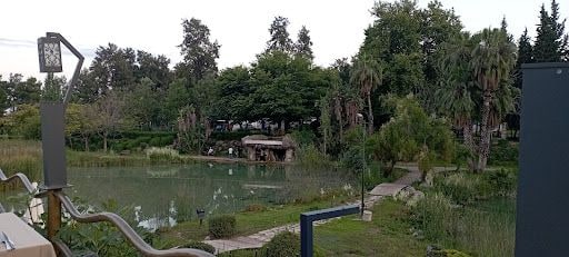 Yorum fotoğrafı 8