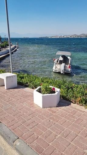 Fotoğraf 29
