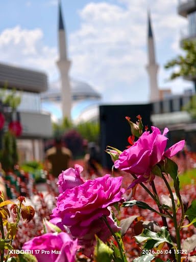 Yorum fotoğrafı 5