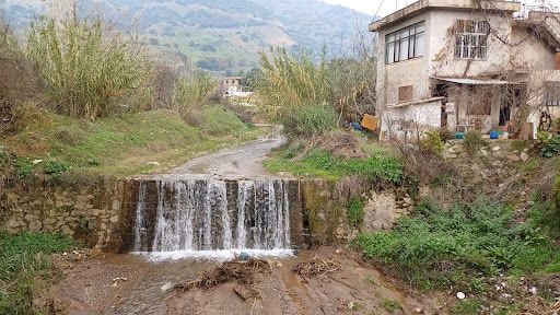 Fotoğraf 11
