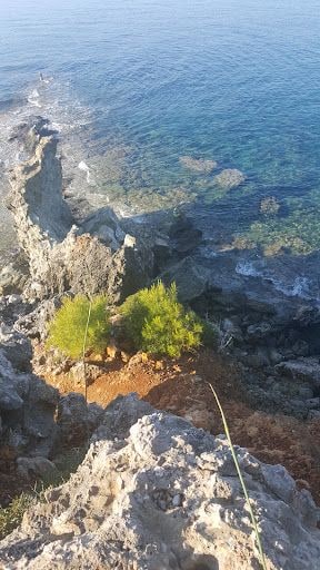 Yorum fotoğrafı 3