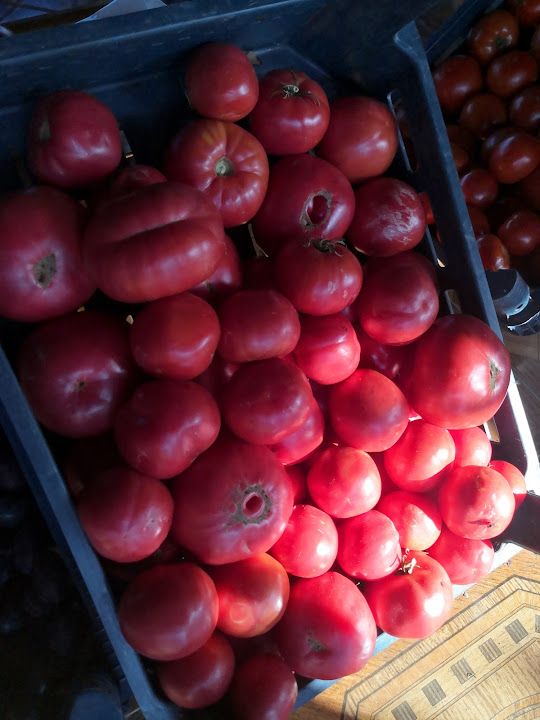 Fotoğraf 17