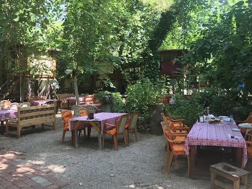 Yorum fotoğrafı 4