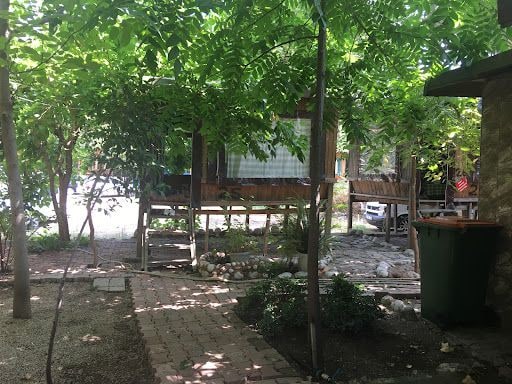 Yorum fotoğrafı 7