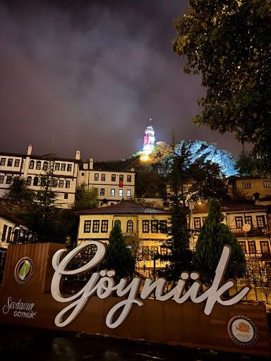 Yorum fotoğrafı 9