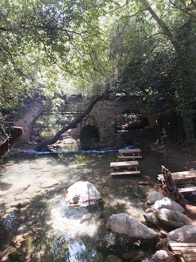 Fotoğraf 19