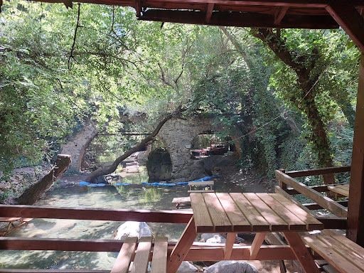 Fotoğraf 21