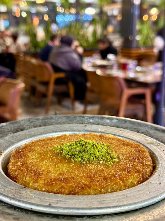 Fotoğraf 49