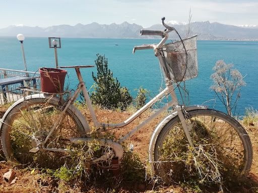 Fotoğraf 14