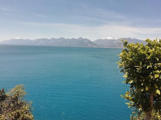 Fotoğraf 15