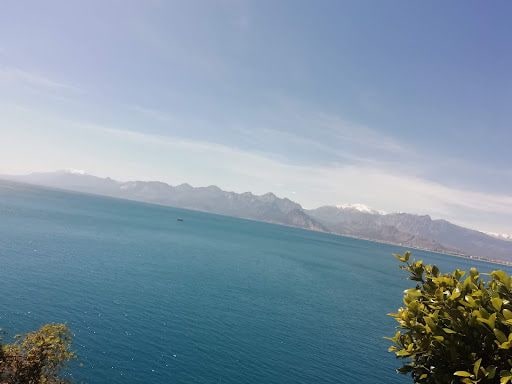Fotoğraf 16
