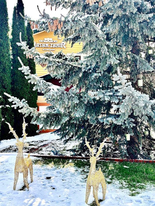 Yorum fotoğrafı 2