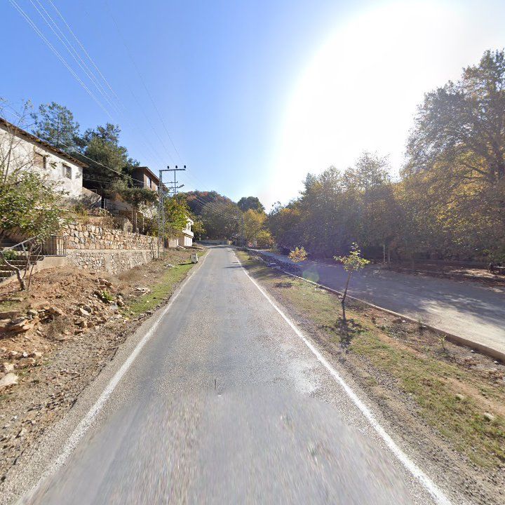 Fotoğraf 9
