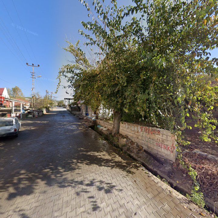 Fotoğraf 3