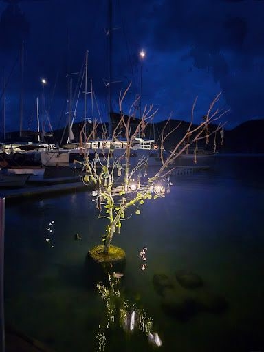 Yorum fotoğrafı 4