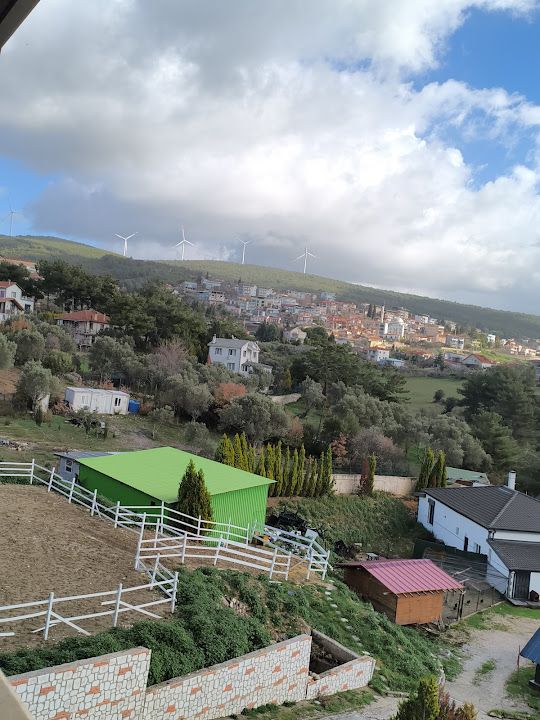 Yorum fotoğrafı 3