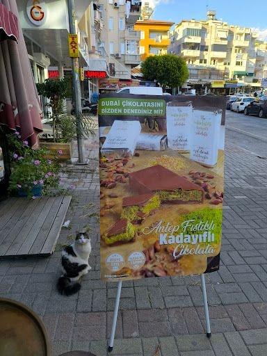 Yorum fotoğrafı 3