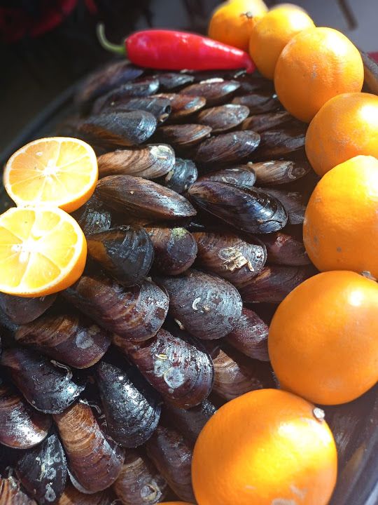 Fotoğraf 19