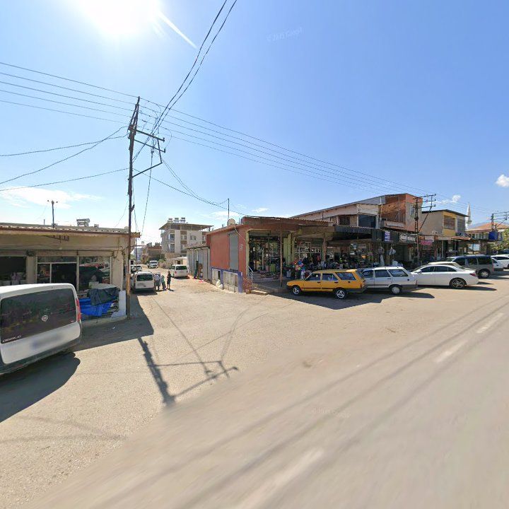 Fotoğraf 5
