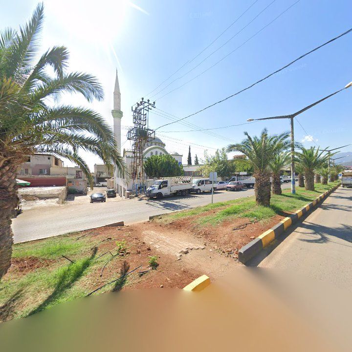 Fotoğraf 5