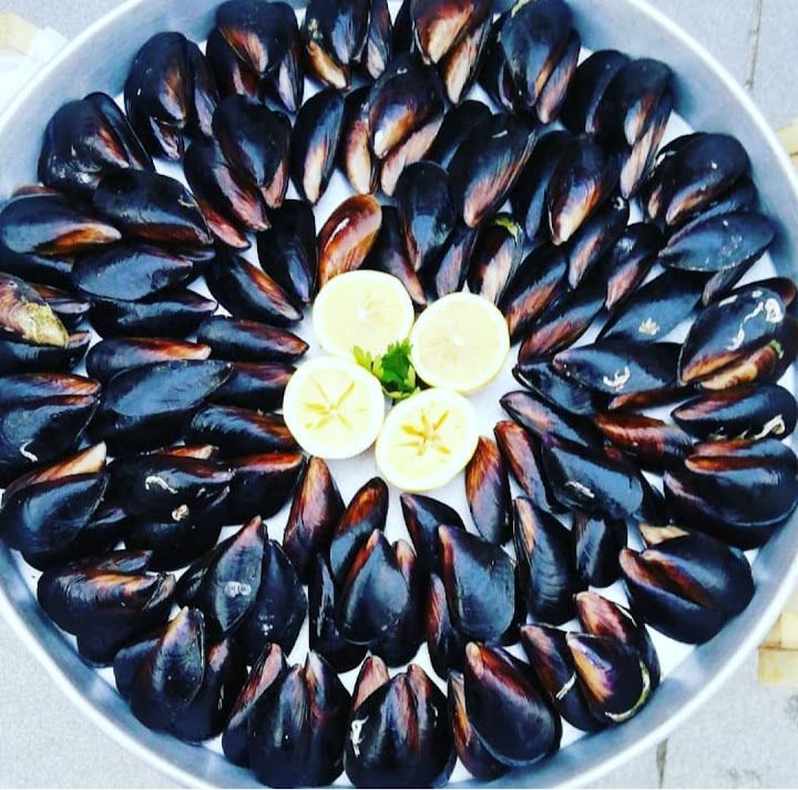 Fotoğraf 22