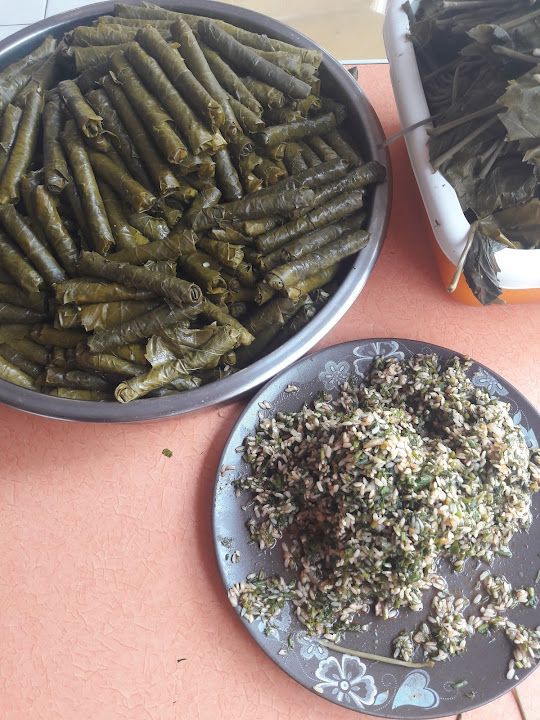 Fotoğraf 12