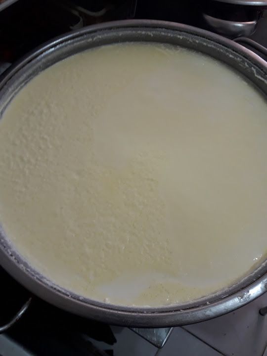 Fotoğraf 24