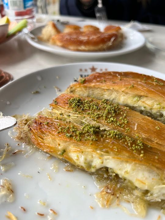 Fotoğraf 13