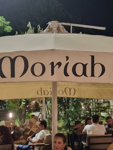 Fotoğraf 13