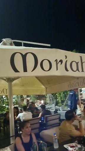 Fotoğraf 14