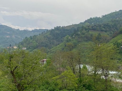 Fotoğraf 36