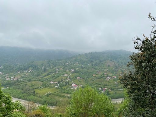 Fotoğraf 40