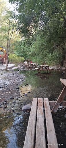 Yorum fotoğrafı 4