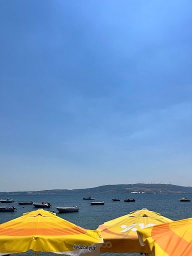 Fotoğraf 14