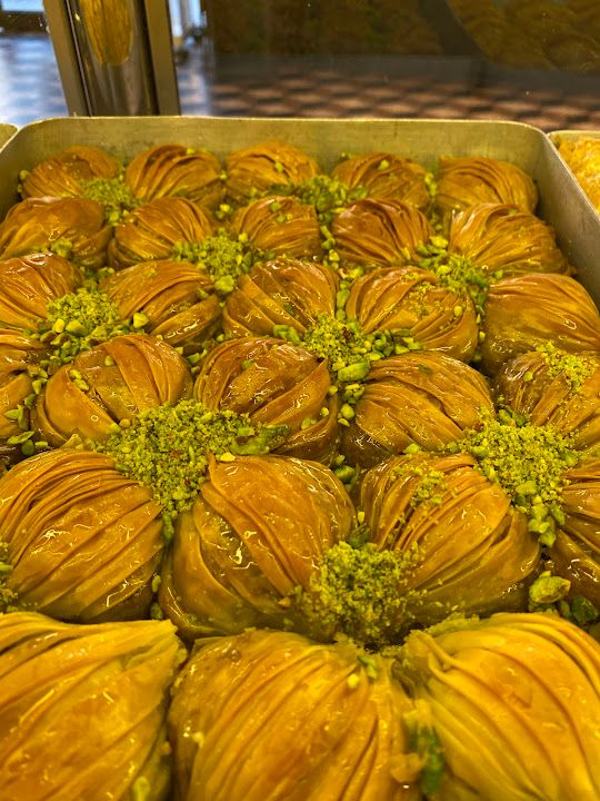 Fotoğraf 14