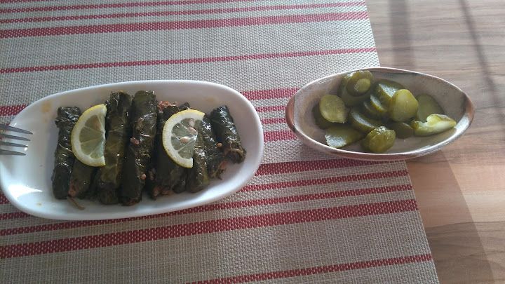 Fotoğraf 37